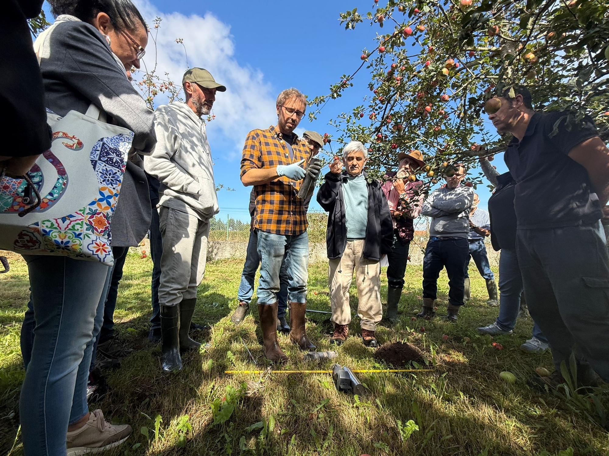 El SERIDA explica sobre el terreno las medidas de protección contra las plagas de roedores en pomaradas