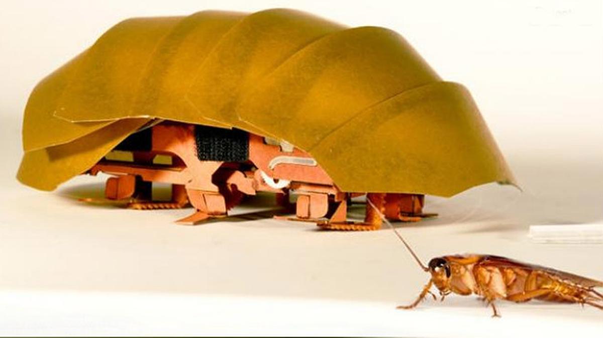 Científics nord-americans creen un petit robot inspirat en els escarabats per rescatar gent en les catàstrofes.