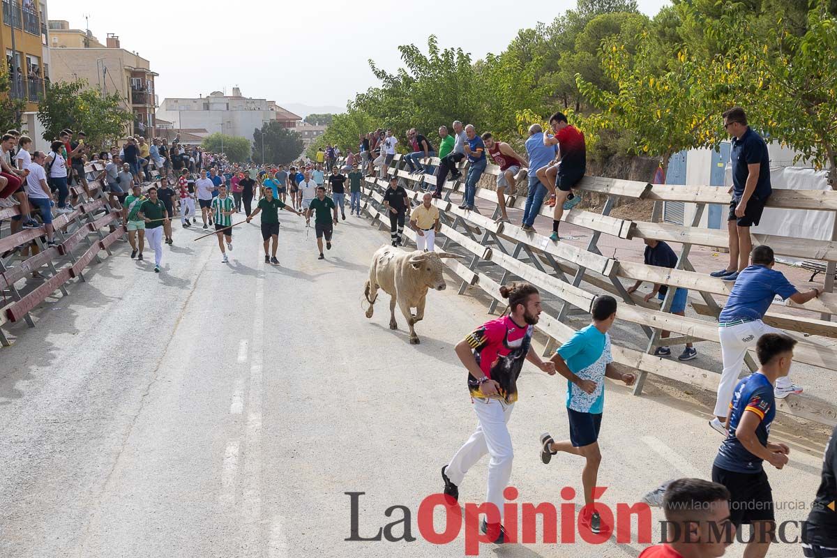 Segundo encierro de la Feria Taurina del Arroz en Calasparra