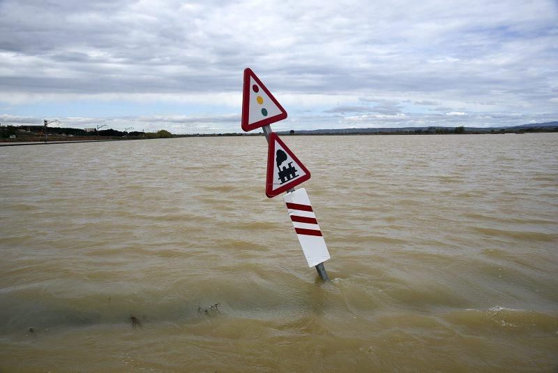 Impresionantes imágenes de la crecida del rio en Gelsa, Pinta y Quinto de Ebro