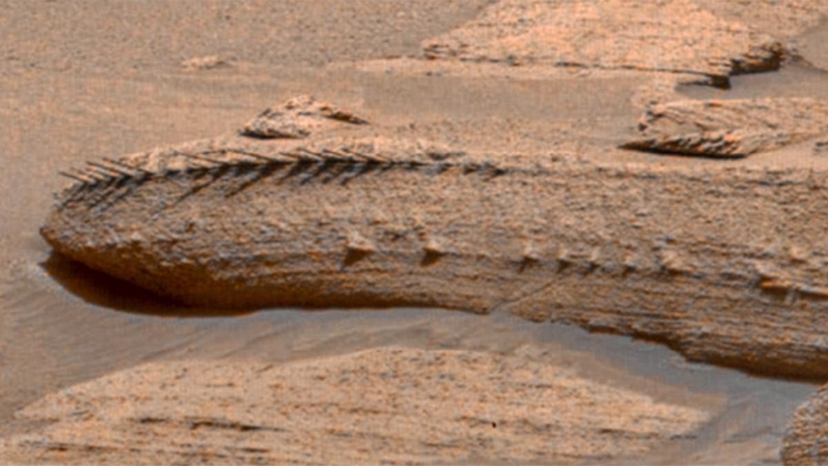 La Nasa descubre el origen del fósil de 'dragón' que ha encontrado en Marte