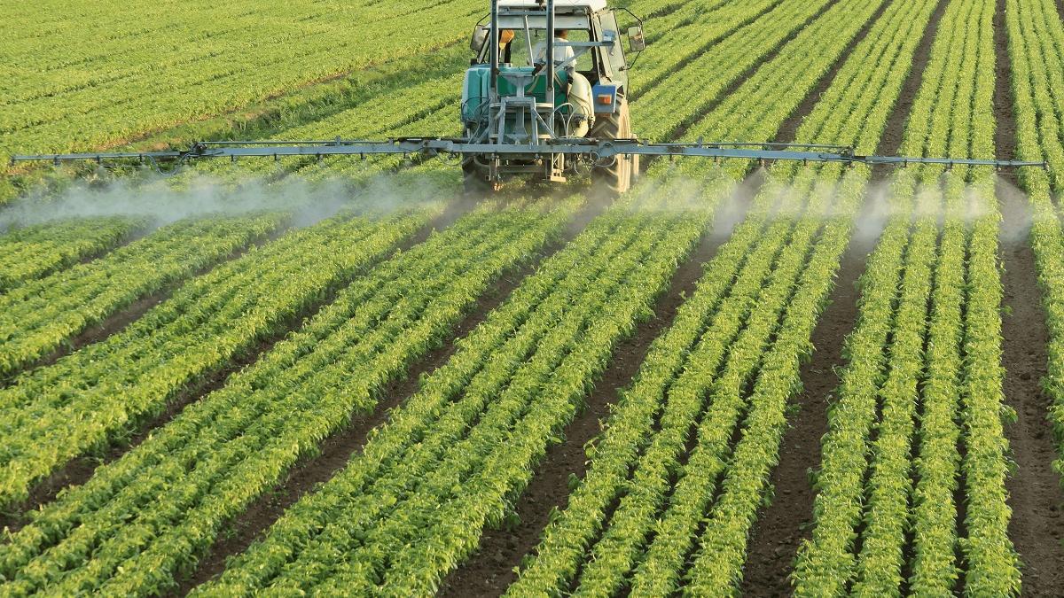 Aplicación de pesticidas en un cultivo