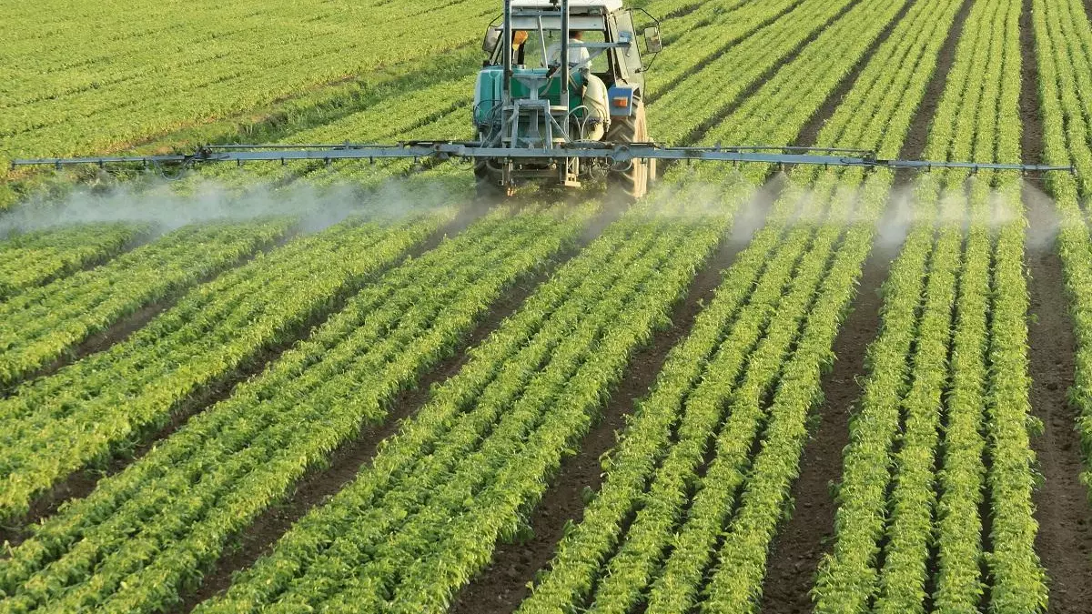 La 'ley Duplomb' divide a Francia en la lucha contra los pesticidas potencialmente cancerígenos