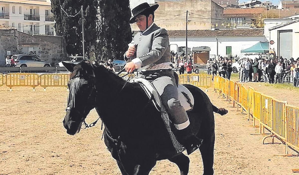 Santa Margalida. Destacaron las demostraciones equinas y la novena Mostra de l’Ametlla, que ofrecía mucha información sobre el cultivo de este fruto de larga tradición agrícola. Santa Margalida. Destacaron las demostraciones equinas y la novena Mostra de l’Ametlla, que ofrecía mucha información sobre el cultivo de este fruto de larga tradición agrícola.
