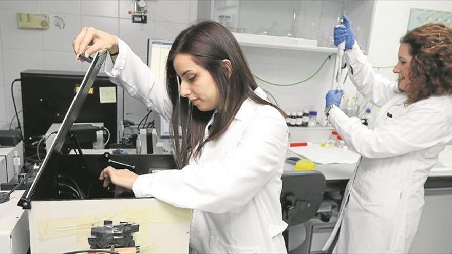 La UCO triplica sus becas para promover el talento investigador