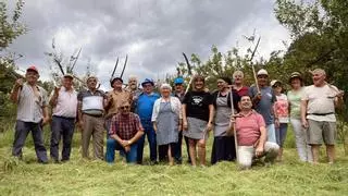 L'arte de la gadaña enséñase en Malleza: asina foi la especial siega comuñal de yerba en La Barraca