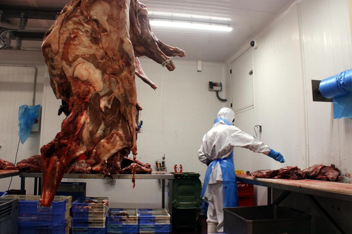 En primer terme, una canal de senglar; al fons, un treballador de Lantxaga especejant la carn