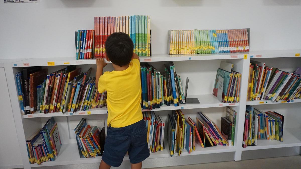 Un niño busca libros en una biblioteca.