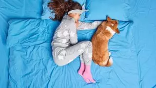 Estas son las razones que deberías saber sobre si debes dormir con tu gato o no