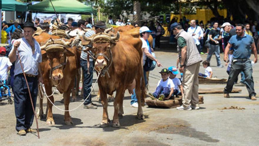 Feria de Ganado de 2015.