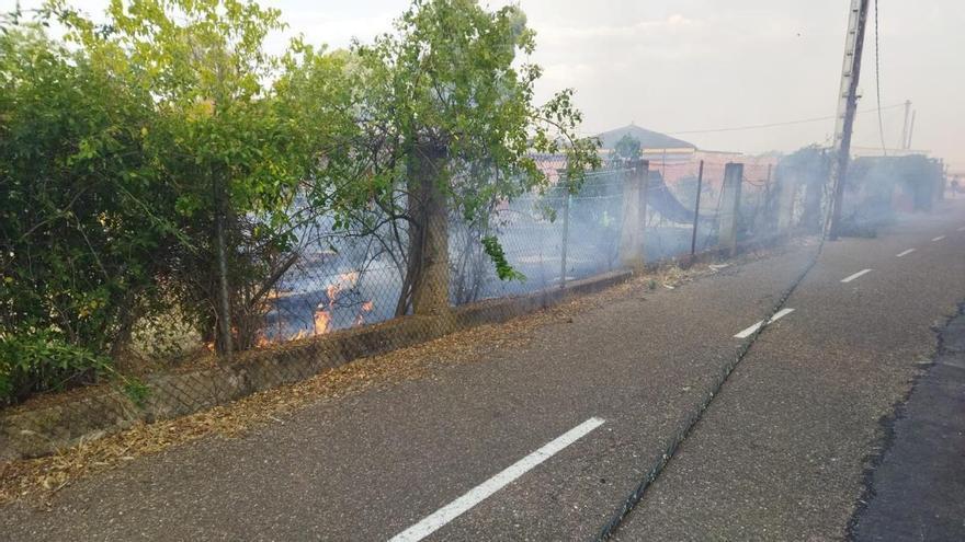 Un intenso fuego pone en alerta a los vecinos de Tres Arroyos (Badajoz)