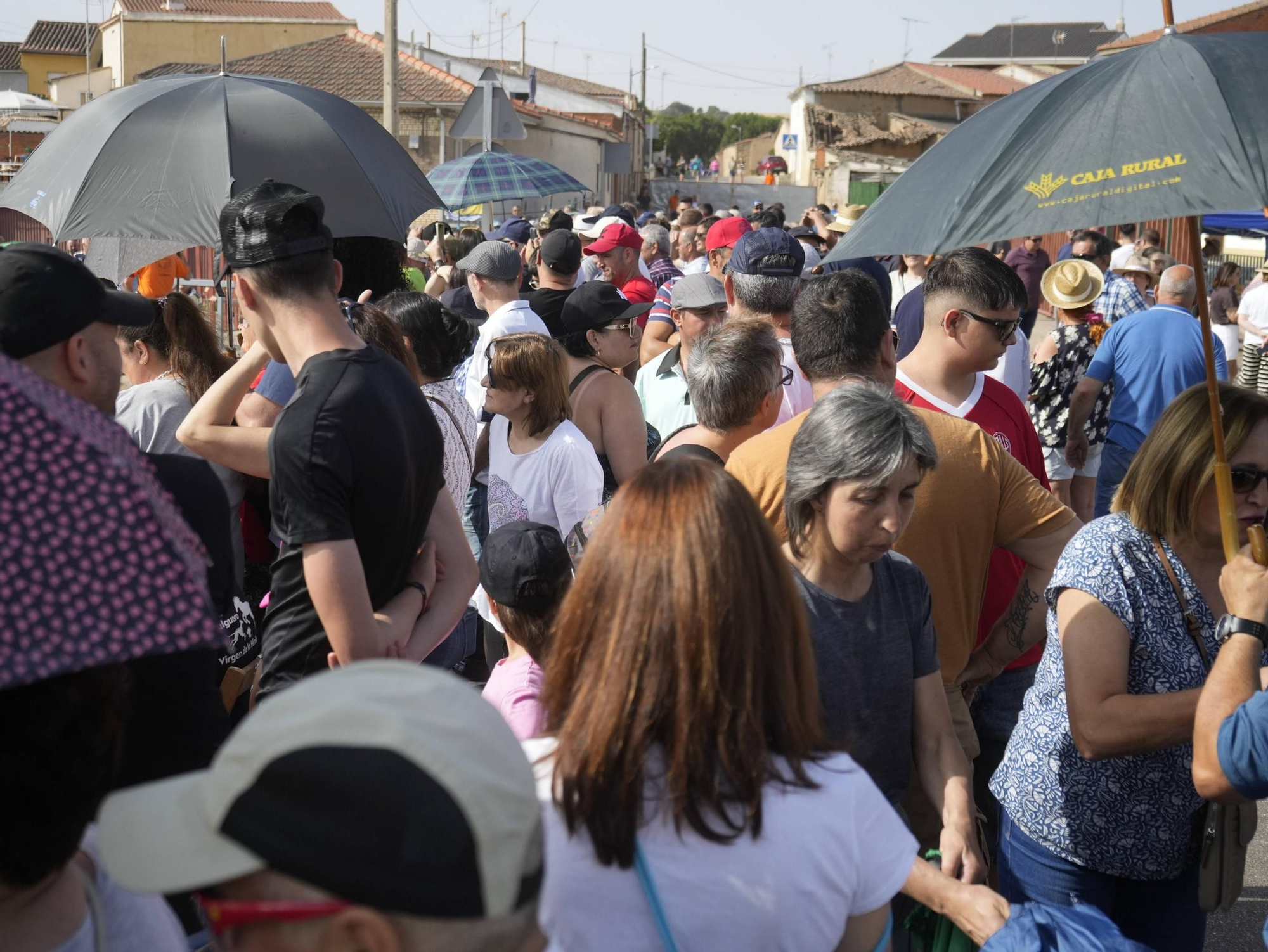 GALERÍA | Multitudinario encierro en la pradera de Guarrate