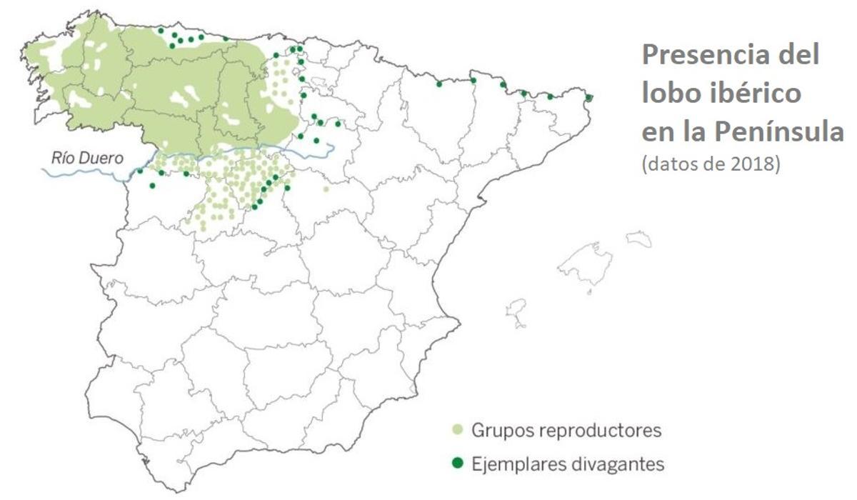 ¿Tiene que volver el lobo a Andalucía?