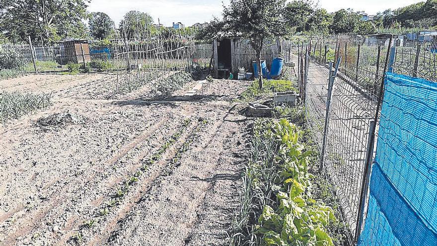 Girona distingirà amb una etiqueta pròpia els productes de les hortes de Santa Eugènia per fomentar el quilòmetre zero