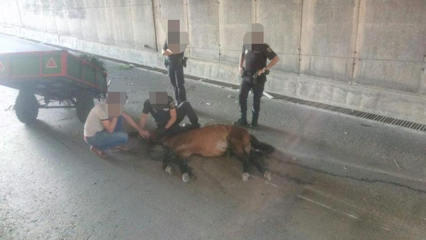 El accidente tuvo lugar a la altura del Pont Roig.