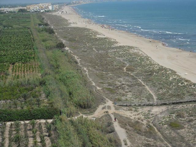 Vista de la playa de l'Auir con las palmeras a la izquierda.