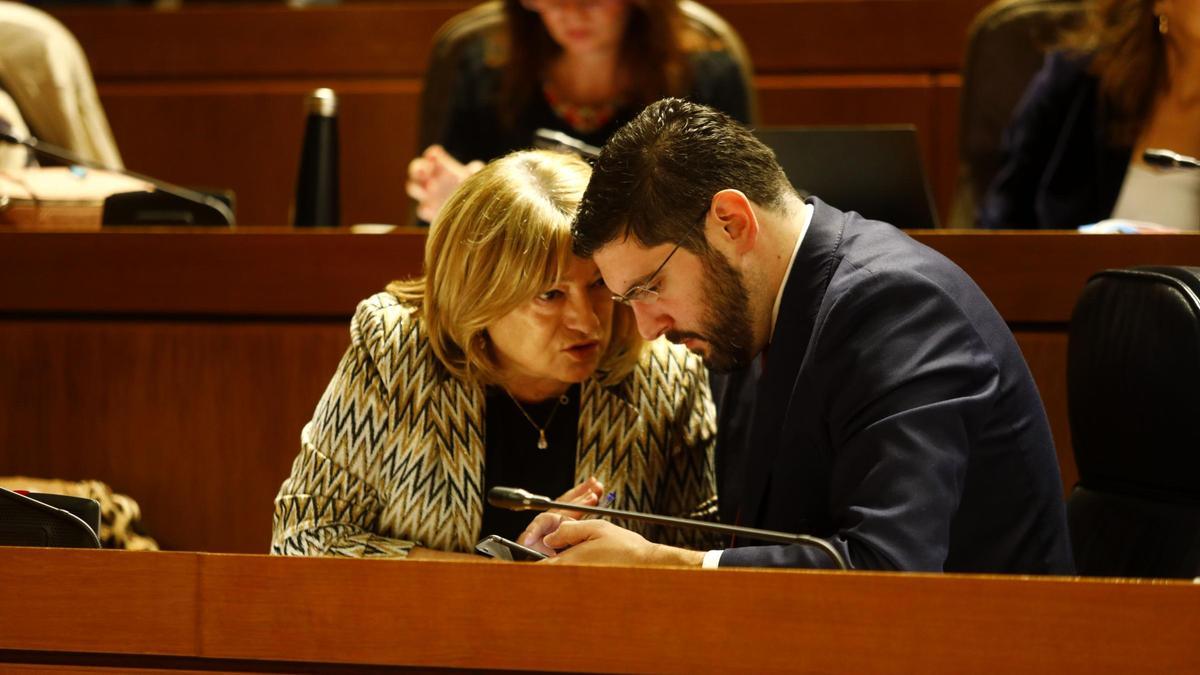 Tomasa Hernández y Alejandro Nolasco, que dirigen el grubo de trabajo contra la amnistía, dialogan en un pleno.