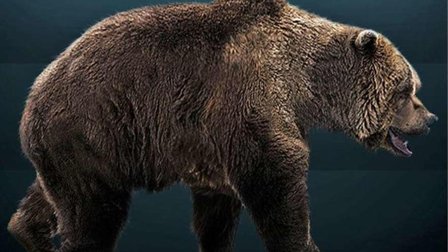 Reconstrucción de un ejemplar de oso cavernario.