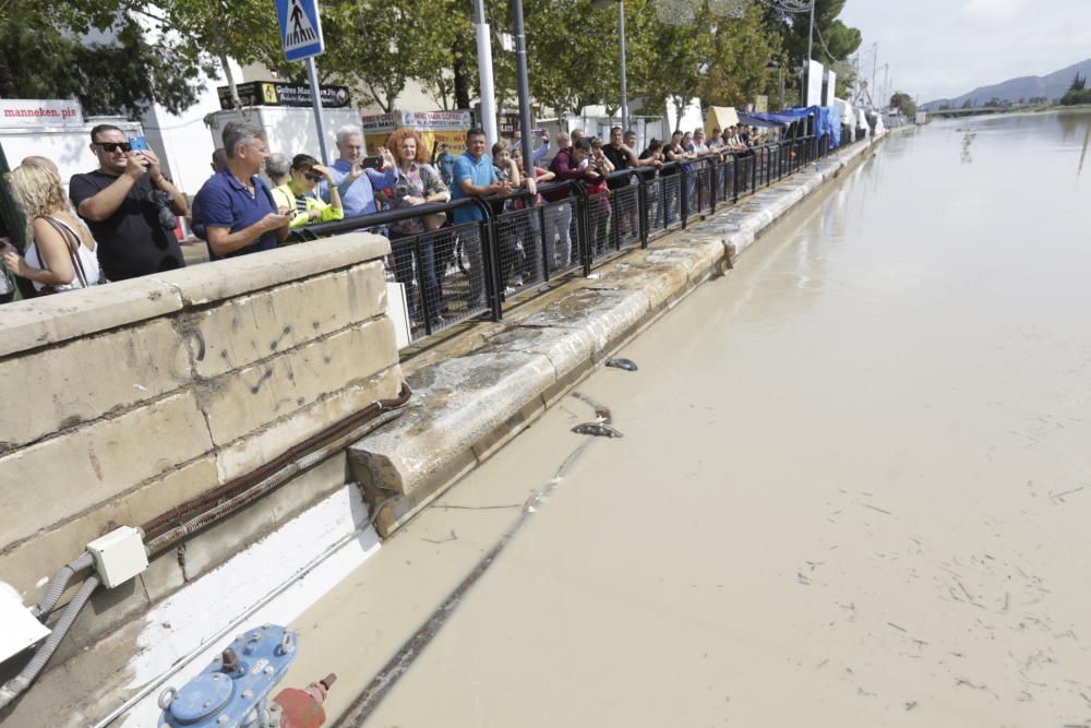 El Segura, en Murcia, a punto de desbordarse