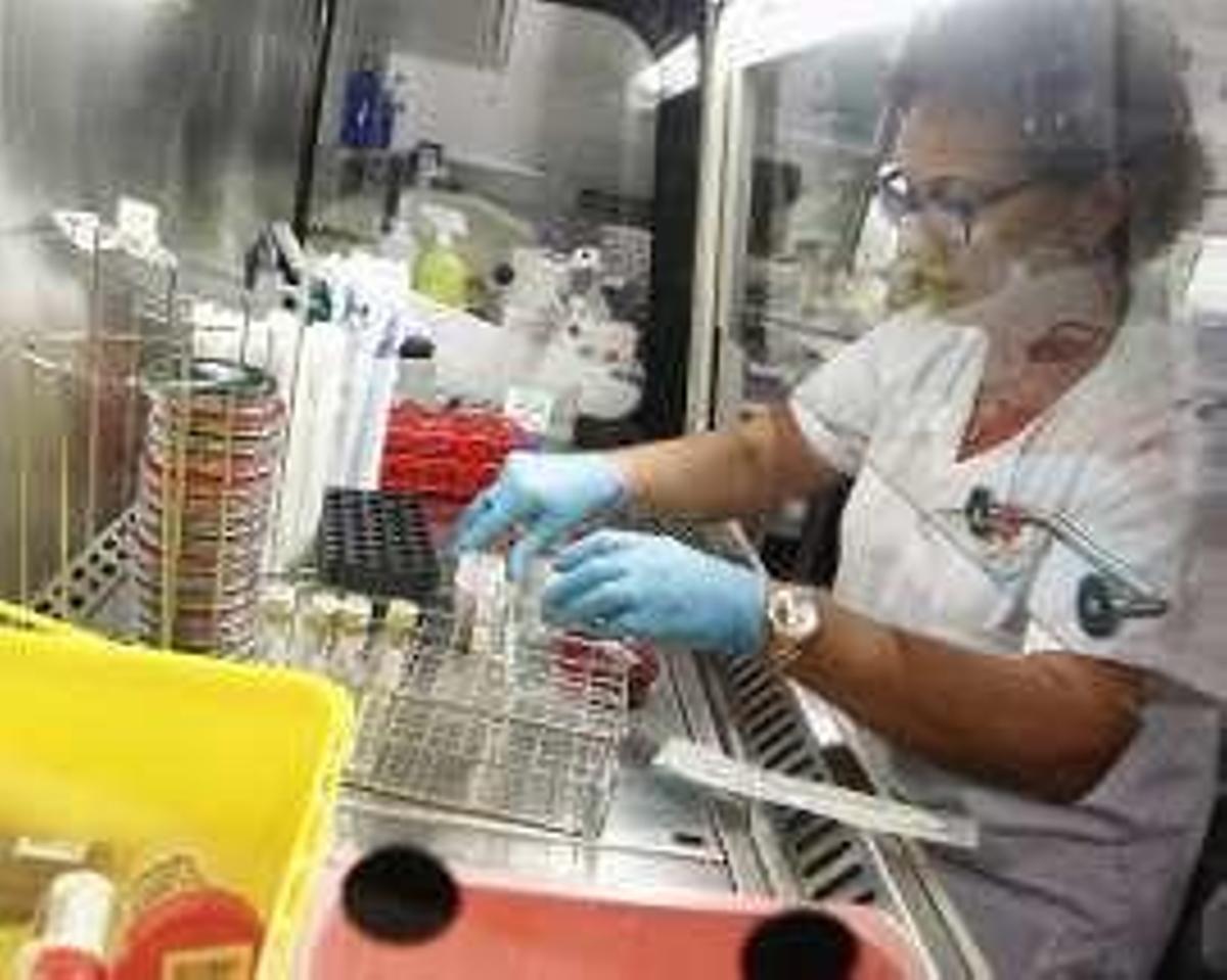 Laboratorio de Microbiología del HUCA.