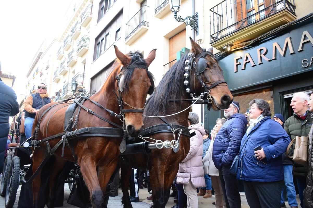 En imágenes | Bendición de los animales por San Antón en la iglesia de San Pablo