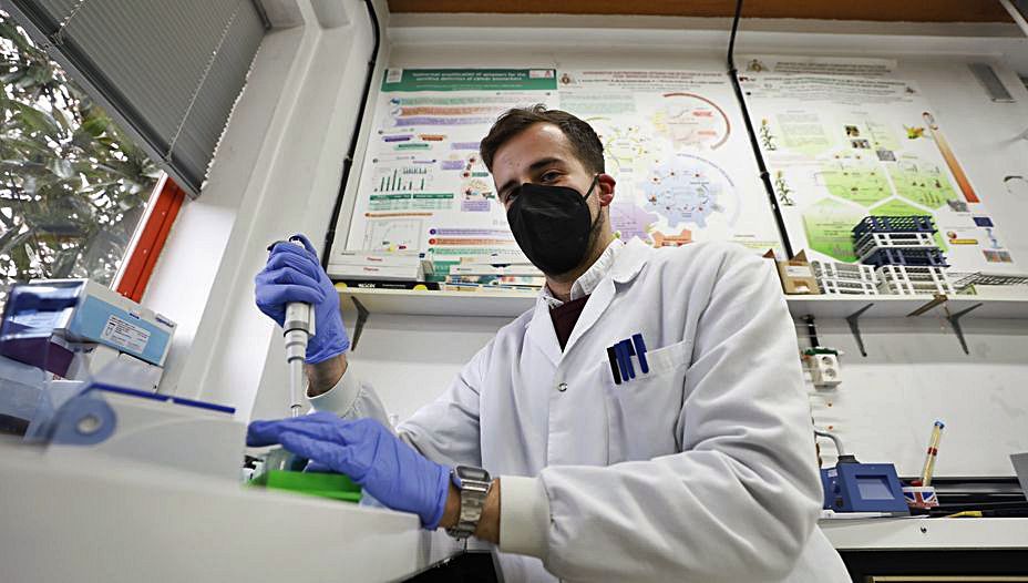 Ramón Lorenzo,  trabayando nel  llaboratoriu. 