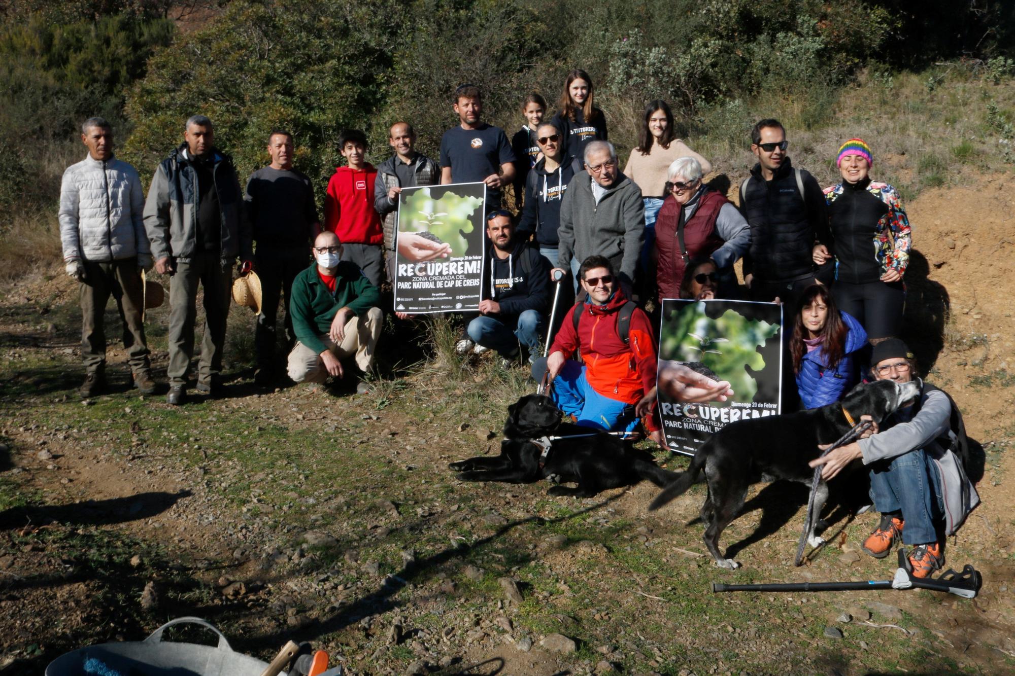 Una vintena de persones amb discapacitat participen en una plantada d'arbres a la zona cremada del Cap de Creus