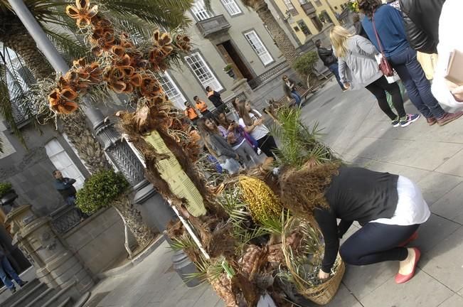 CONCURSO DE CRUCES DE MAYO