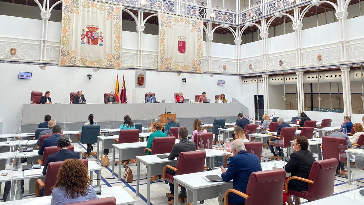 Un momento del Pleno de la Asamblea celebrado este miércoles