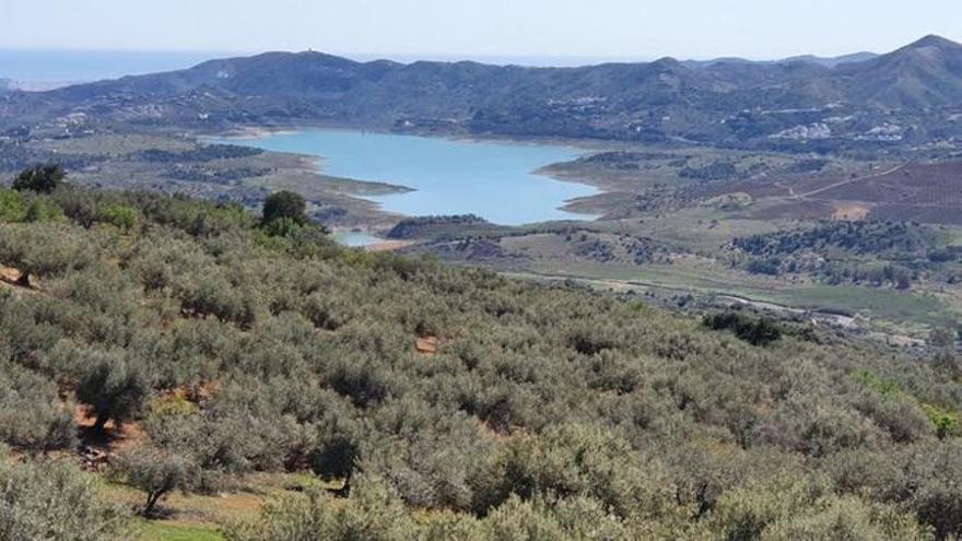 La Diputación reforestará con 33.000 árboles el entorno del embalse de La Viñuela