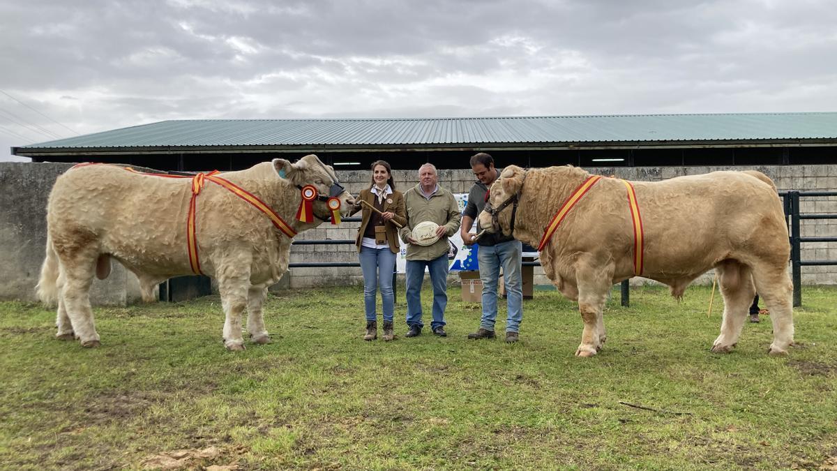 Campeones del concurso de sementales de la raza charolesa en la última edición de la Agroganadera de Trujillo.