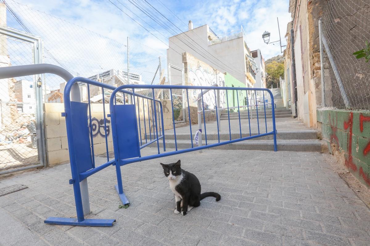 Una calle que es un "Peligro" para el peatón
