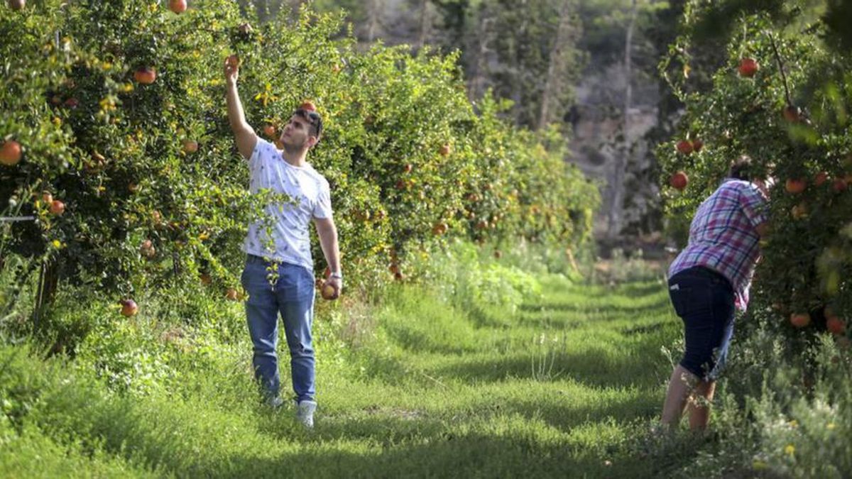 La nueva Ley de Agricultura Familiar es clave para devolver la ilusión al campo e impulsar su relevo generacional