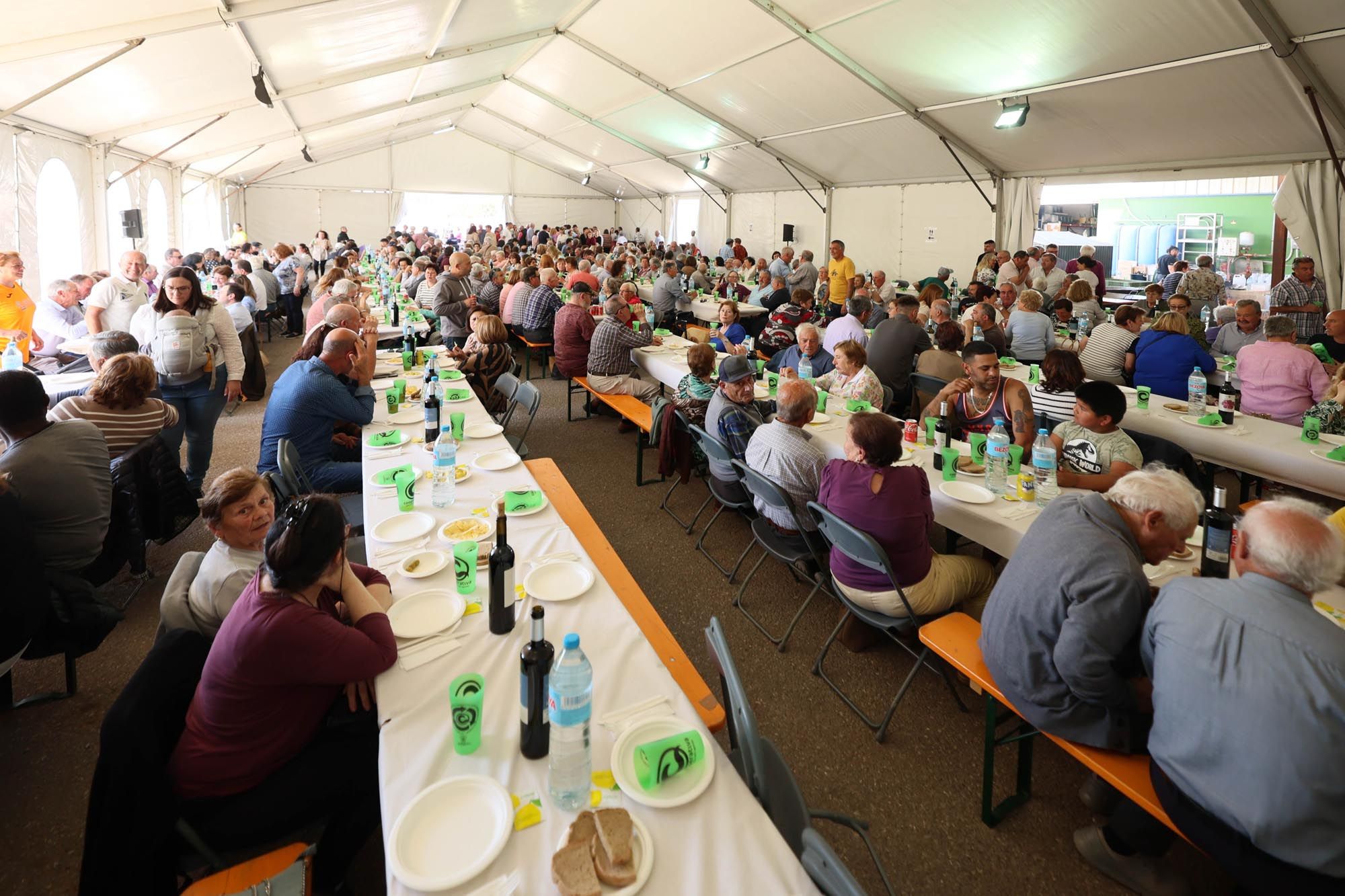 La asamblea de la Cooperativa Agrícola de Santa Eulària, en imágenes