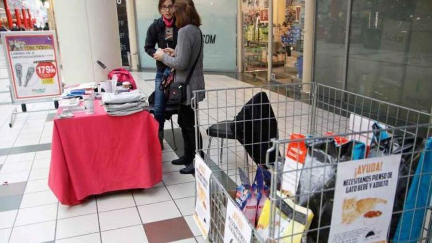 Expositor de DAZ en el Centro Comercial Valderaduey para recabar ayudas para los animales.