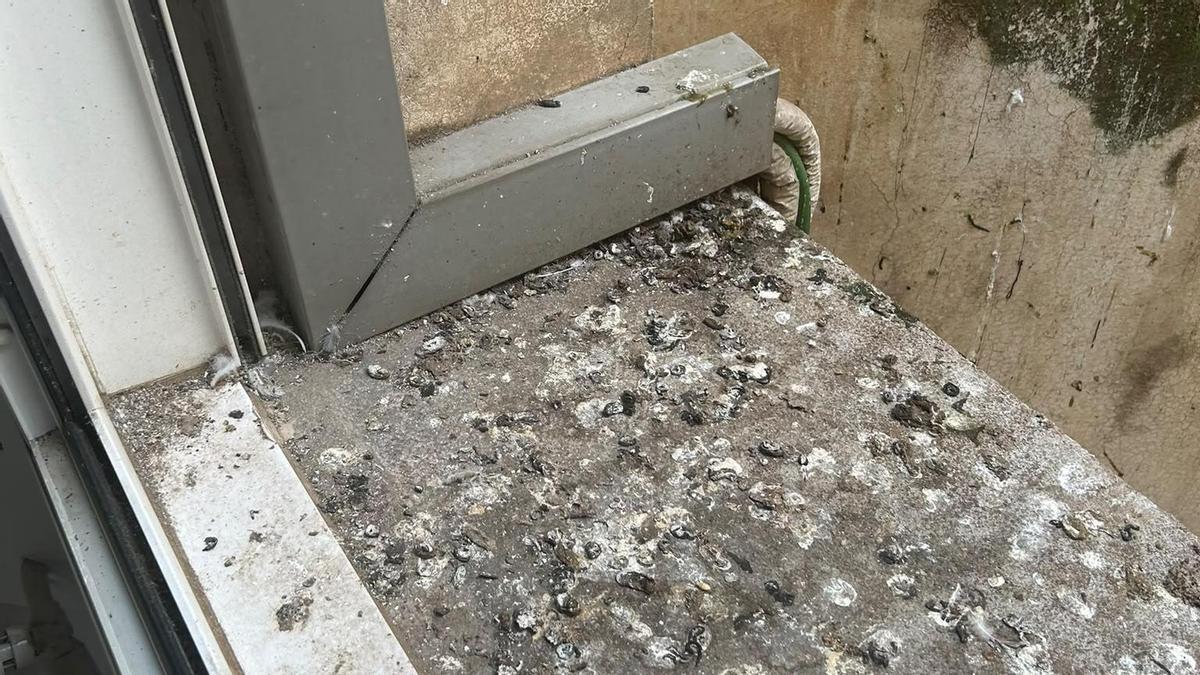 CSIF ha denunciat l'estat d'abandonament d'un edifici de la delegació del Govern a Girona.