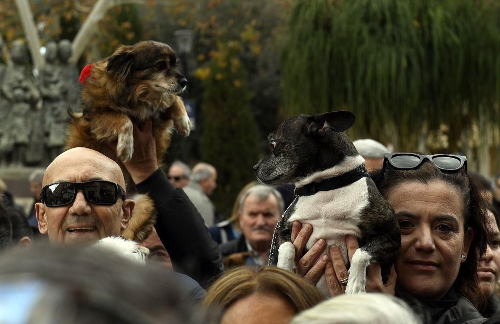 Así ha sido la bendición de animales por San Antón en Murcia