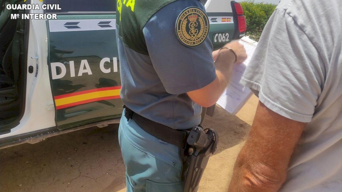 La Guardia Civil investiga a un hombre por acuchillar 6 perros en Benaguasil