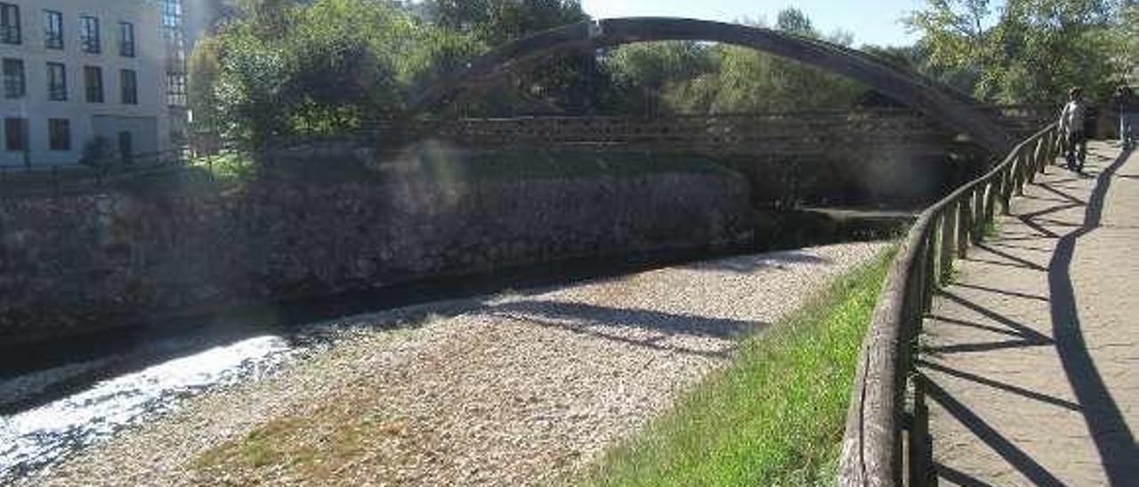 Sedimentos en el río Güeña, a su paso por Cangas de Onís.