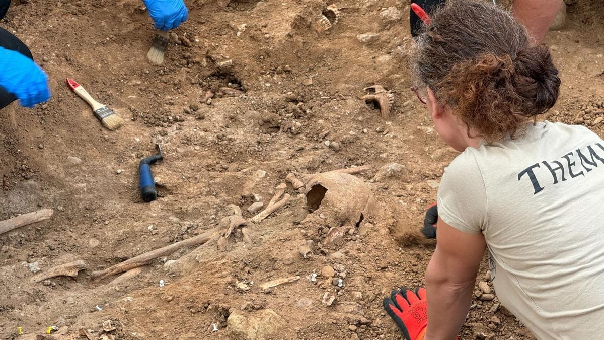 Exhumaciones en el cementerio de La Salud de Córdoba