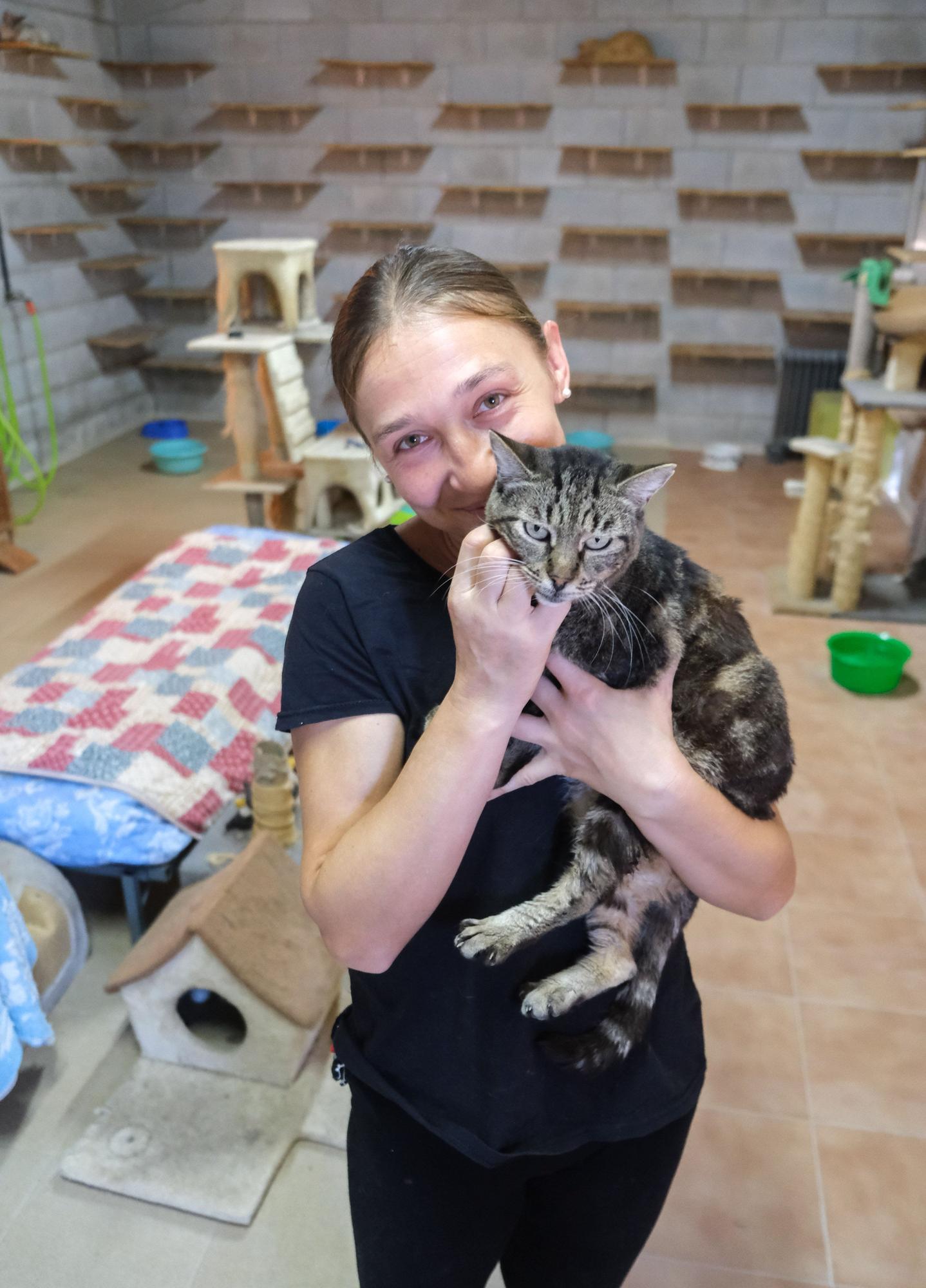 La Asociación Animalia de Guardamar trabaja en el control de colonias felinas en la localidad