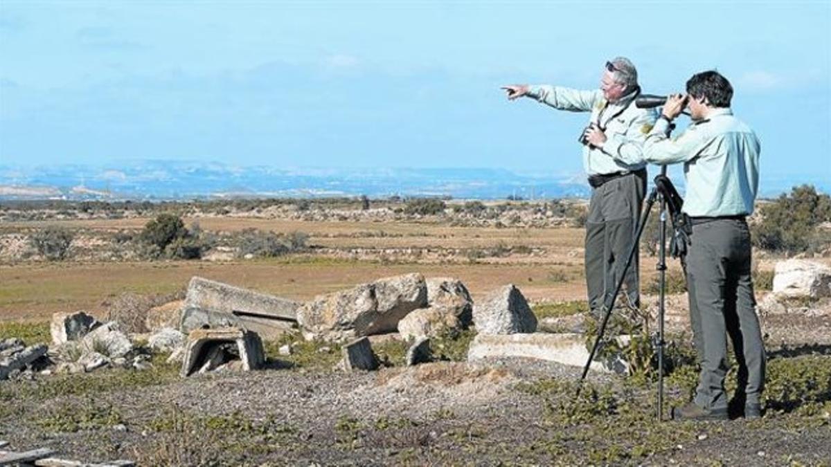 Dos agentes rurales inspeccionan el territorio en busca de rastros de la jauría asilvestrada de Seròs.