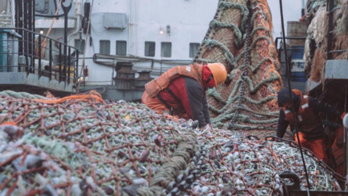 Maniobra de virada de aparejo, completada, a bordo de un buque de Russian Fishery. |