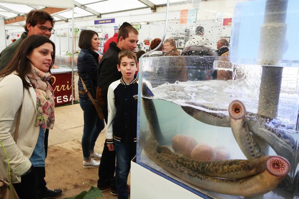 La organización cifra en más de 30.000 personas la afluencia de público en la edición 56 de la popular fiesta