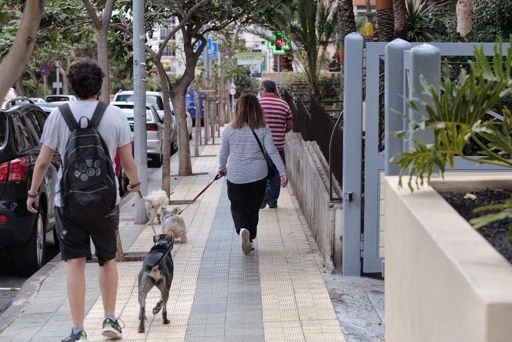 Reportaje: Gente con mascotas