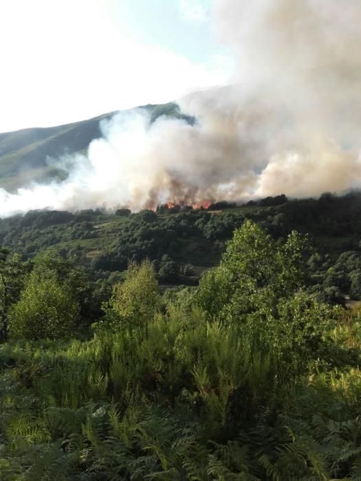 Incendio en Degaña