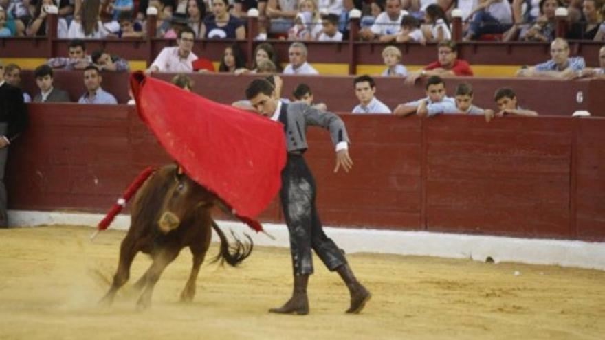 Toros. Clase practica en Murcia