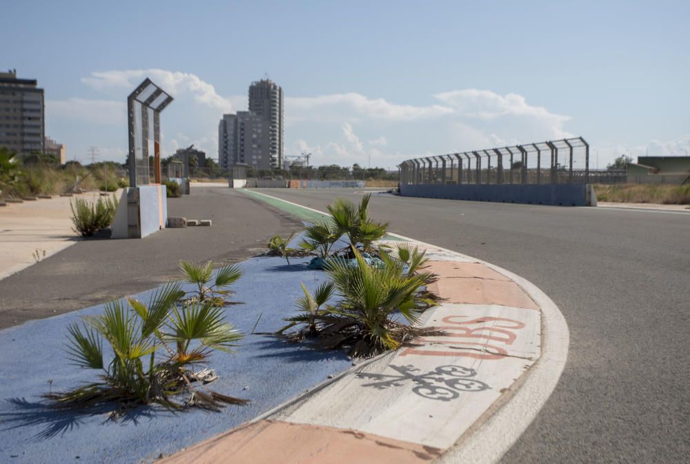 València tendrá un gran delta verte