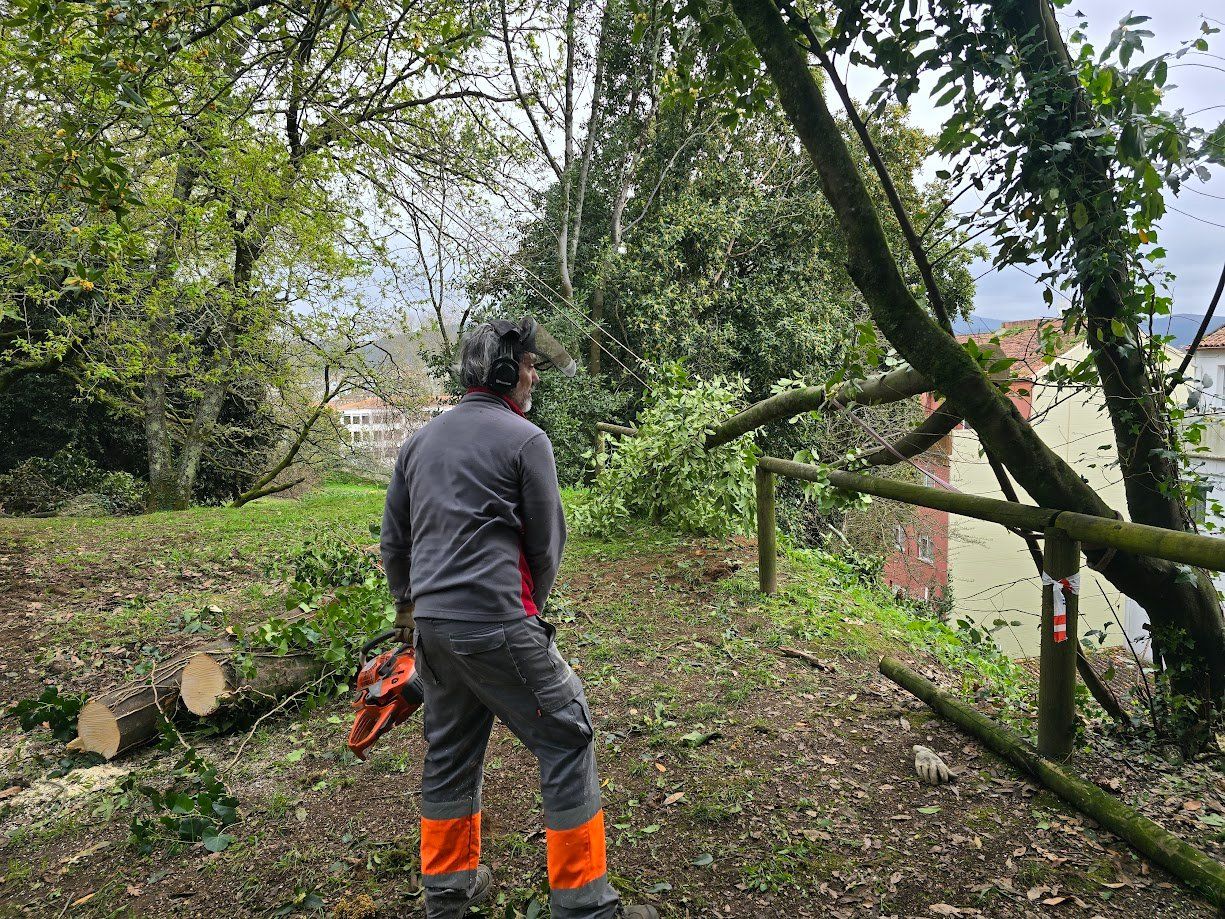 La tala de árboles en el Parque Valdés Bermejo para garantizar la seguridad ciudadana.