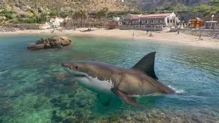 Cine sobre flotadores: proyección inmersiva de 'Infierno azul' en Cartagena